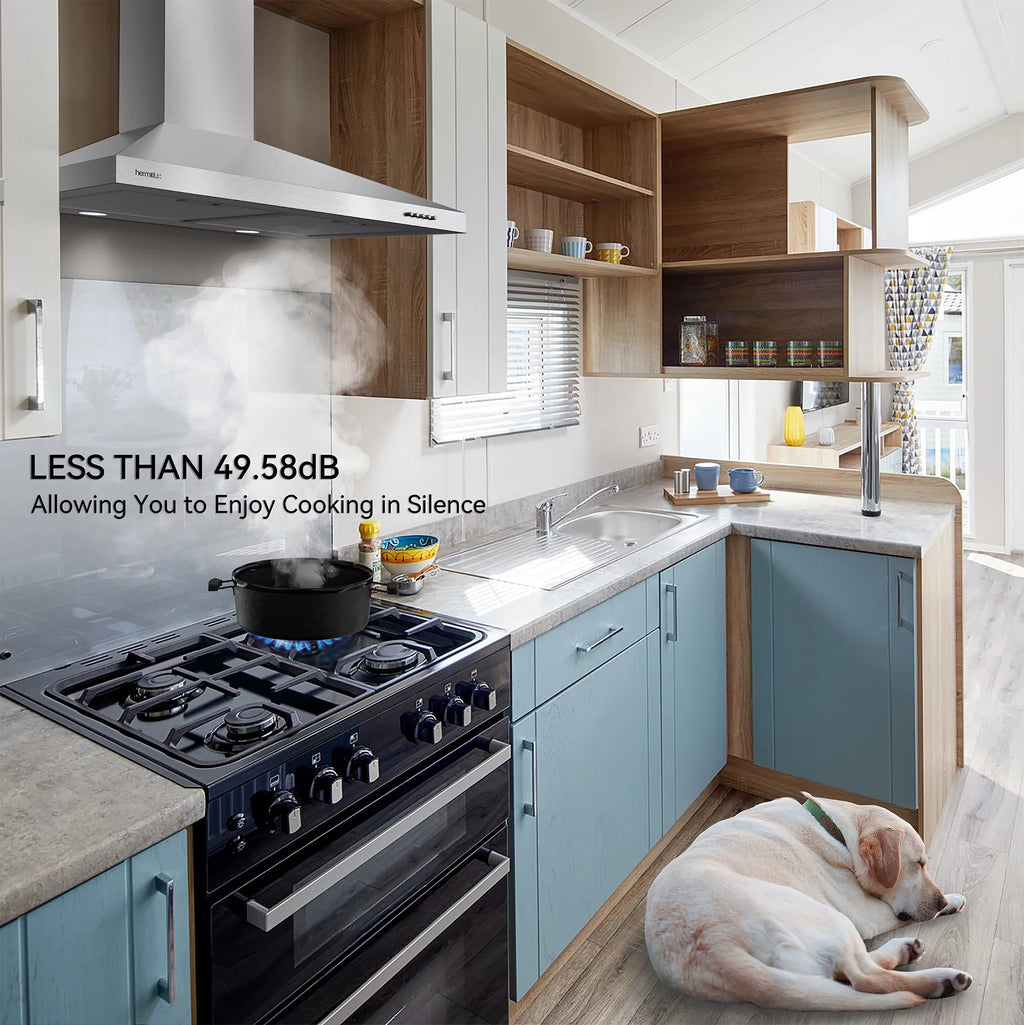 30 inch Stainless Steel Wall Mount Range Hood with Charcoal Filters C486471