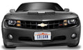 Car Bra F917