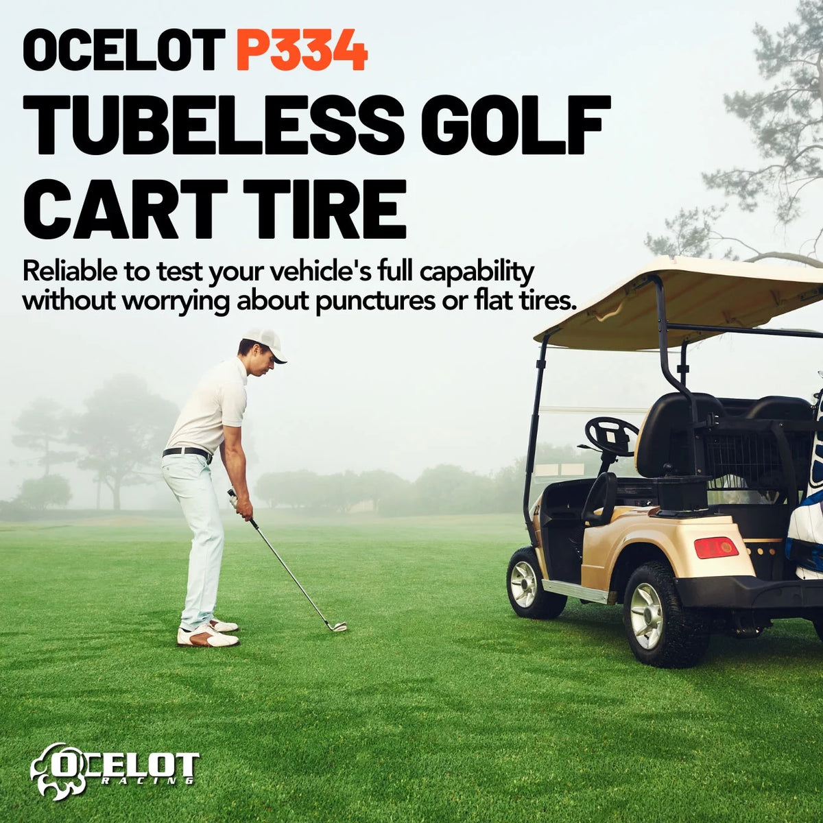 8" Golf Cart Tires Set of 2 Z433223