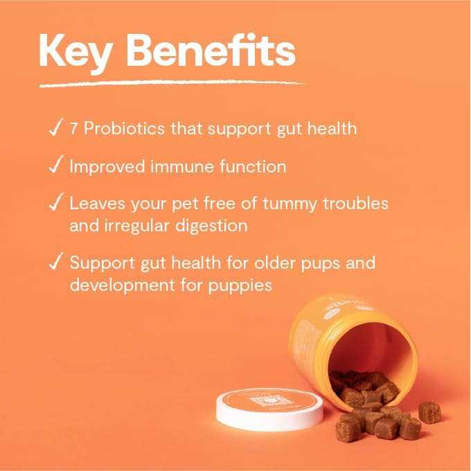 Probiotic Chews Dog Supplement Y57016