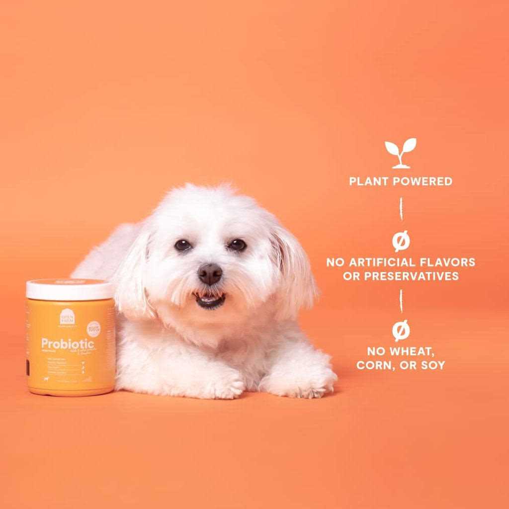 Probiotic Chews Dog Supplement Y57016