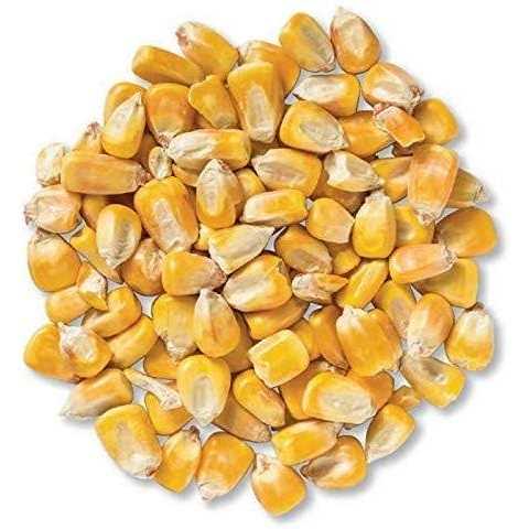 Whole Corn for Wildlife Feeding U735514
