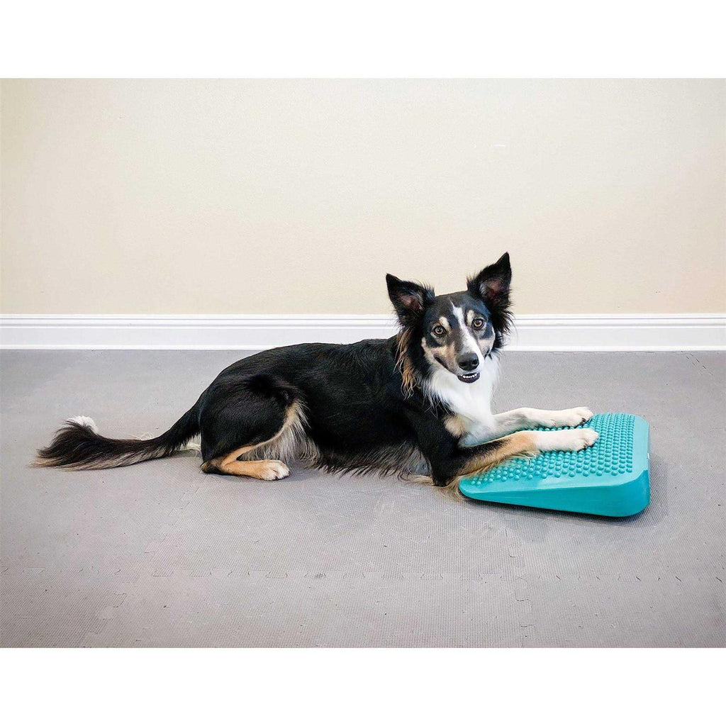 Pet Supplies Ramp G108567