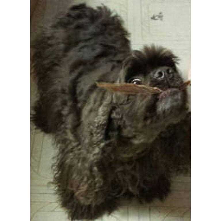 Duck Jerky Strips Z805504