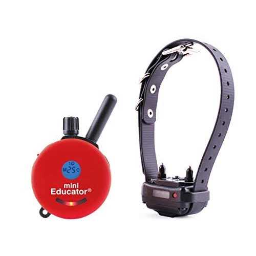 Remote Dog Training System C1533