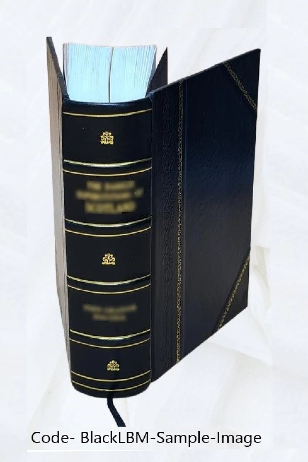 Leather Bound Book B12598