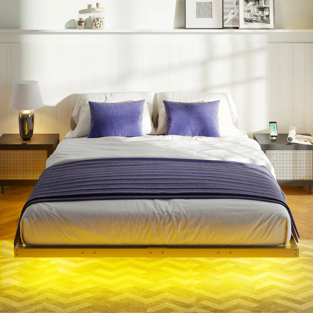Queen Size LED Metal Platform Bed Frame Y208