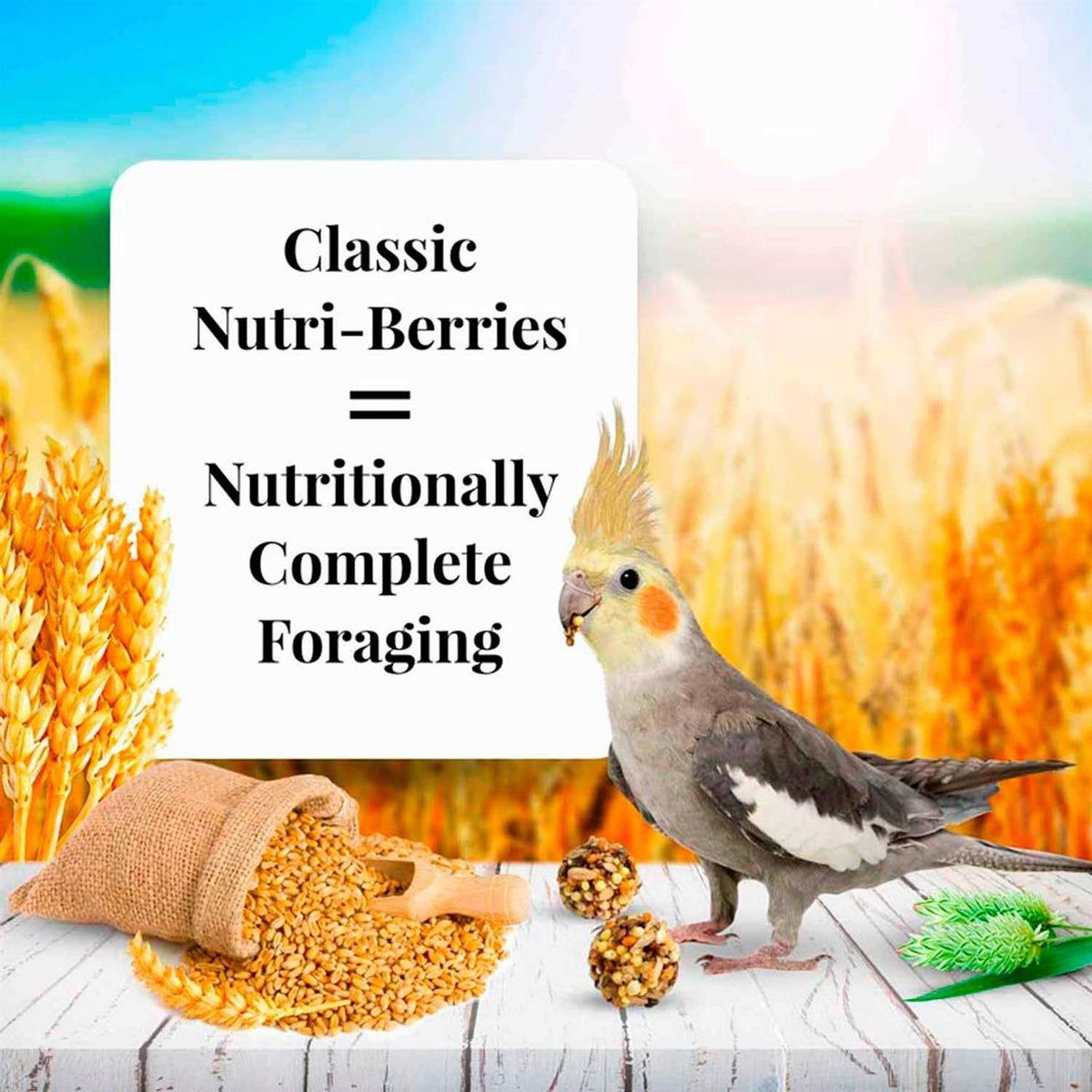 Nutri Berries Food Q498619