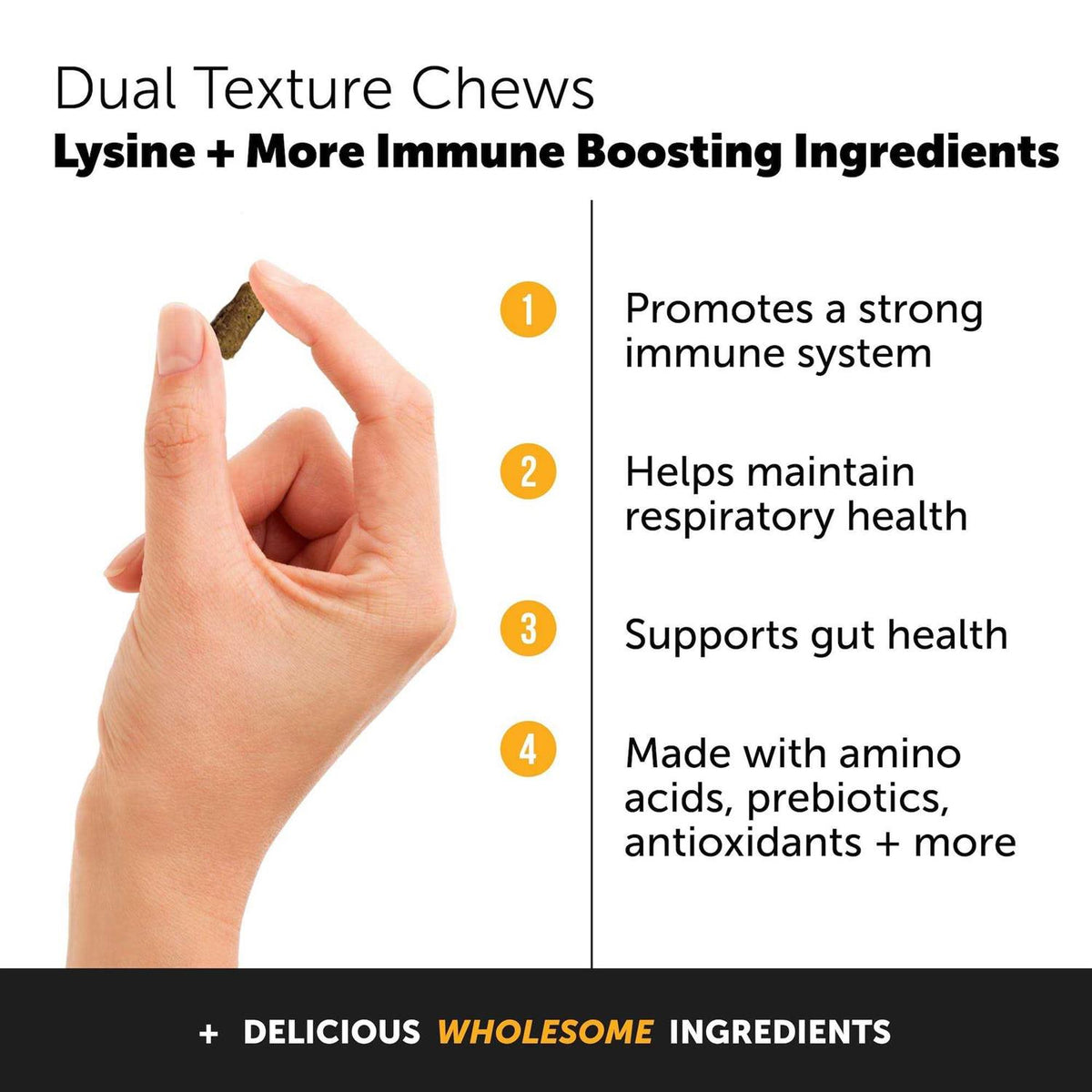 Cat Immune Support Lysine Chews V73886
