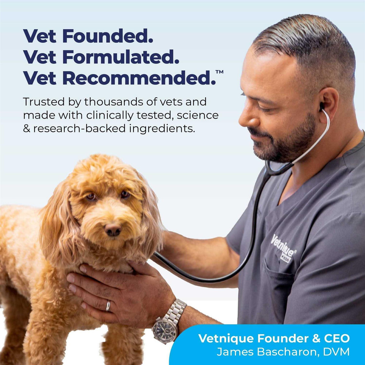 Anal Gland Support Powder for Dogs & Cats N398