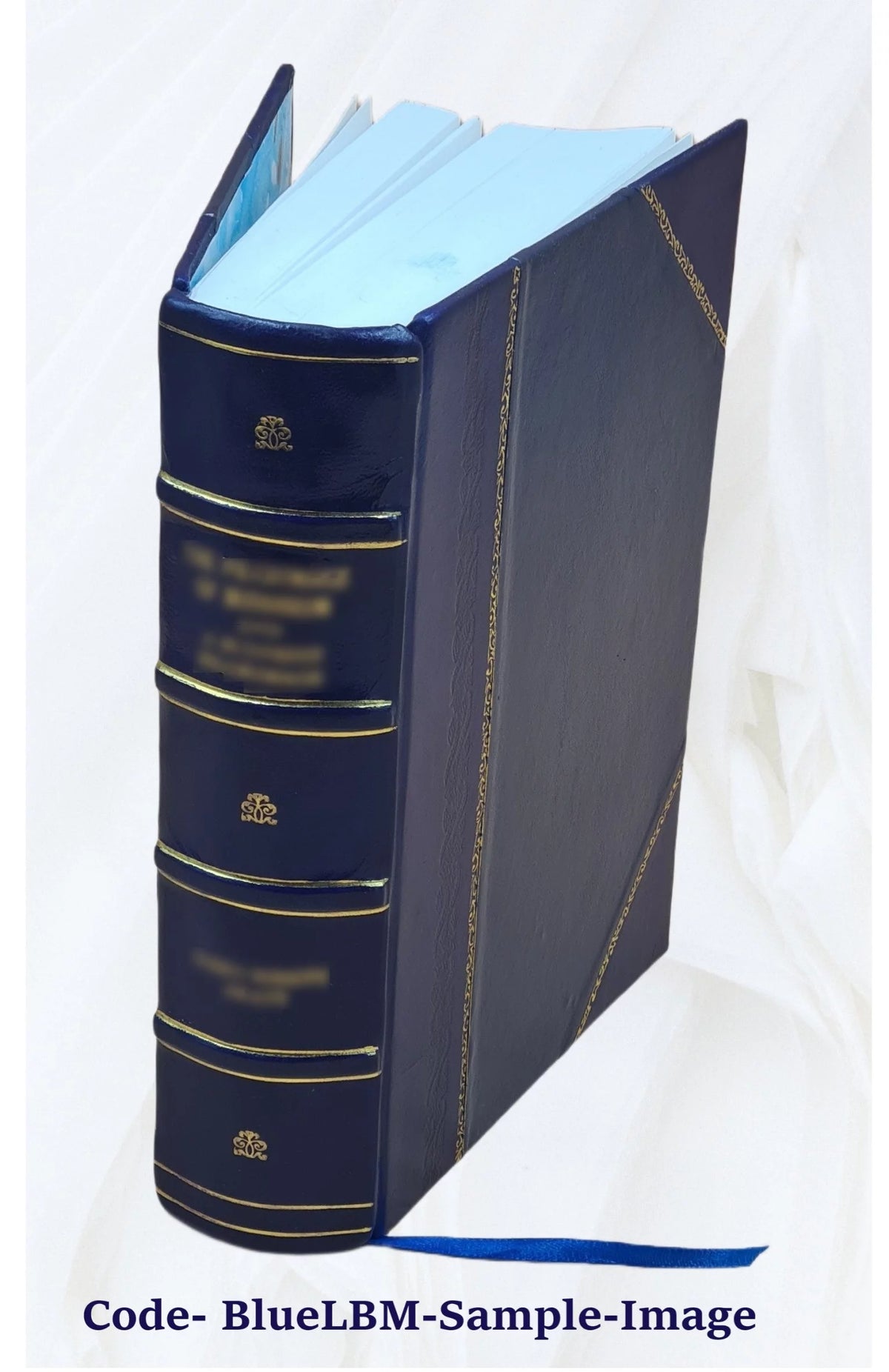 Leather Bound Book B12598