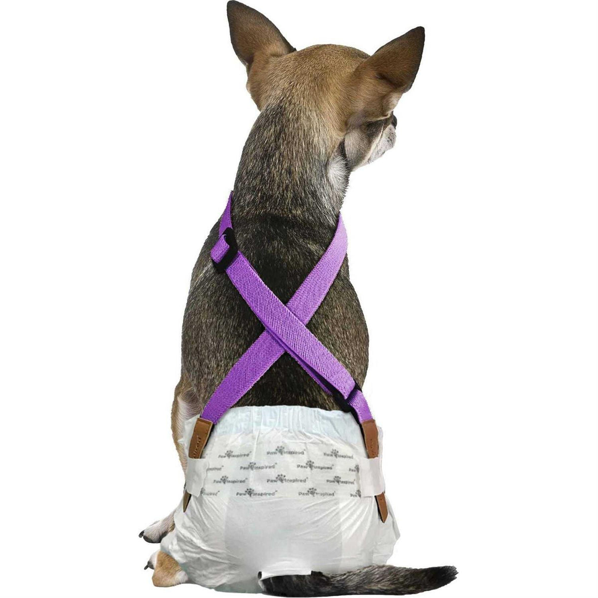 Dog Diaper Suspenders K404473