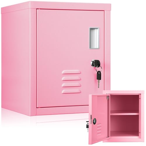 Lockable Steel Storage Cabinet with Shelf T6344
