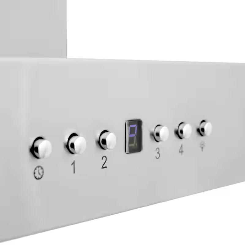 24 in. 400 CFM Convertible Wall Mount Range Hood in Stainless Steel M440831