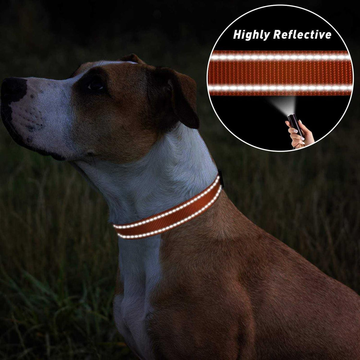 Reflective Nylon Adjustable Dog Collar with Quick Release Buckle E26992