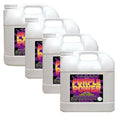 Degreaser Concentrate 2.5 Gallons 4 Pack F79101