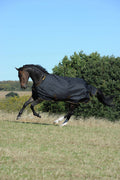 Black Turnout L982375