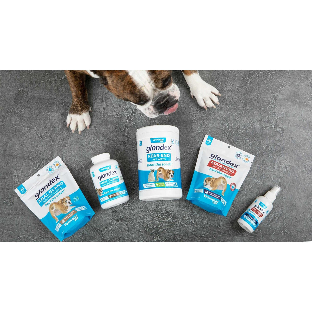 Anal Gland Support Powder for Dogs & Cats N398