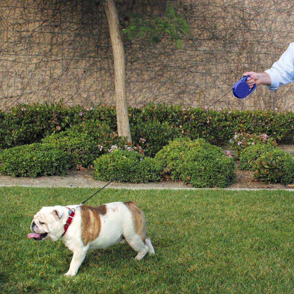 24 ft. Retractable Dog Leash H469