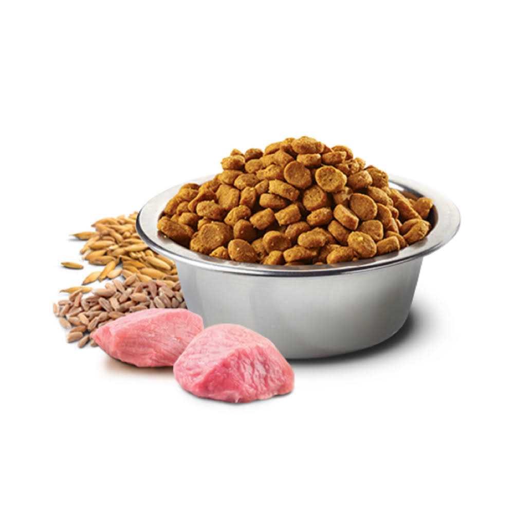 Chicken & Pomegranate Adult Dry Cat Food S880373
