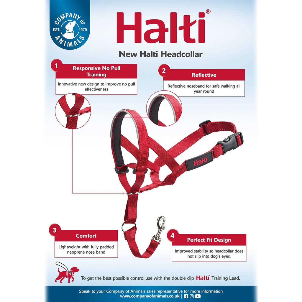 Headcollar F656933