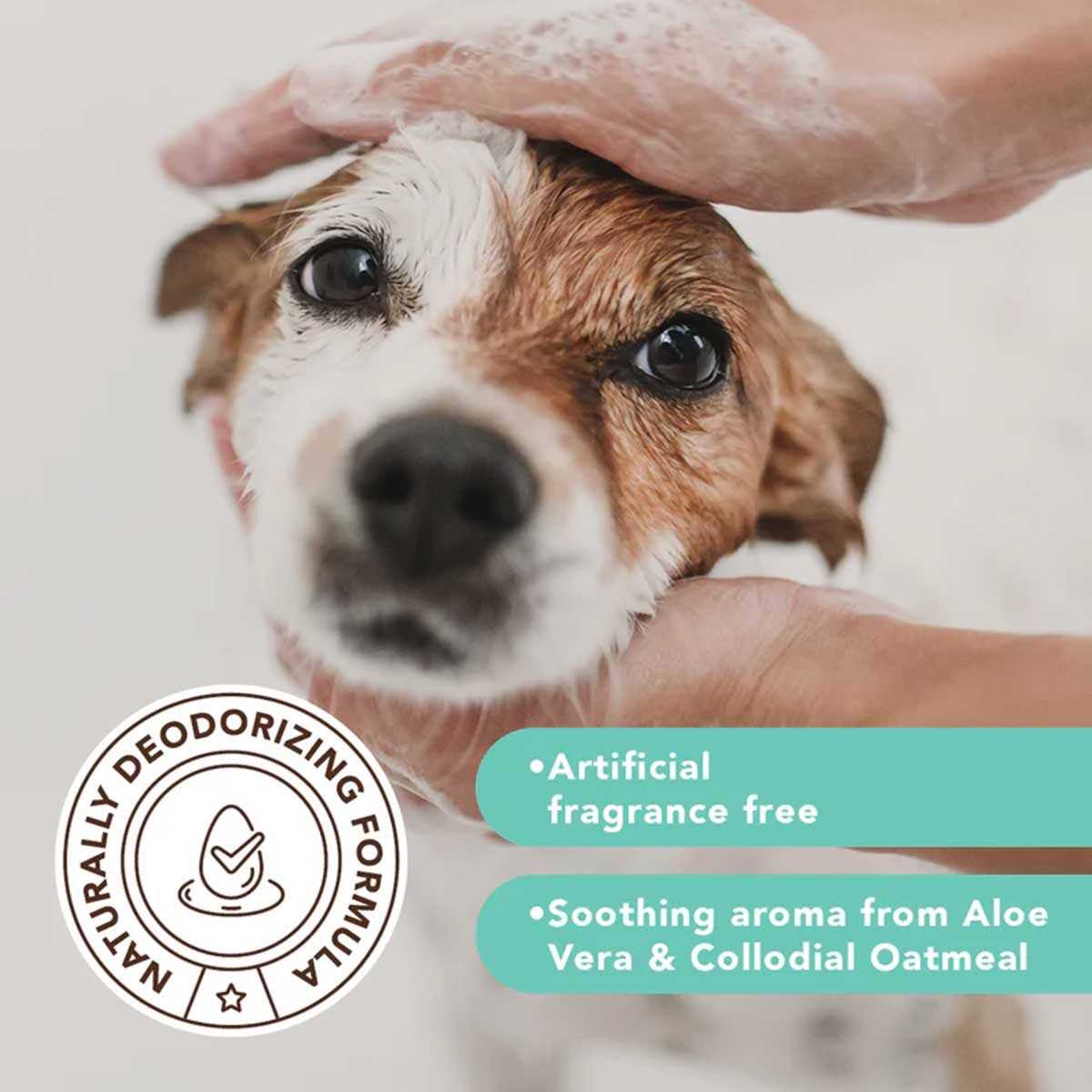 Oatmeal Sensitive Skin Dog Shampoo I406