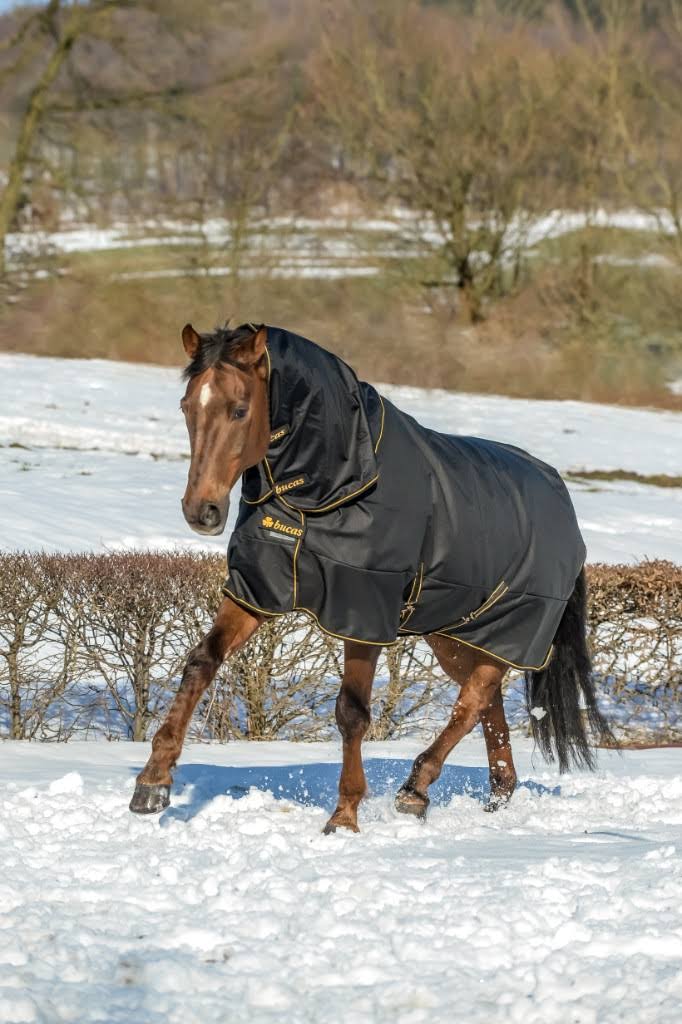 Black Turnout L982375