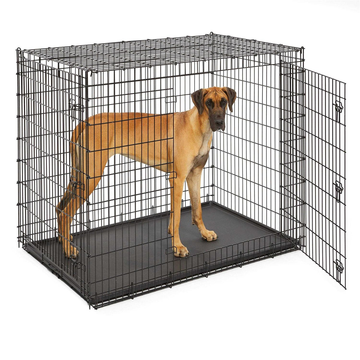 Double Door Dog Crate N265637