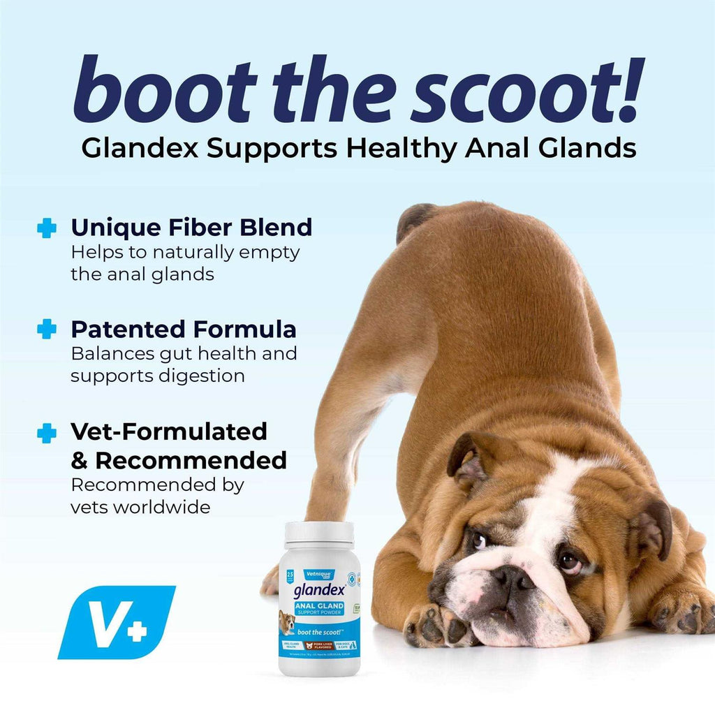 Anal Gland Support Powder for Dogs & Cats N398