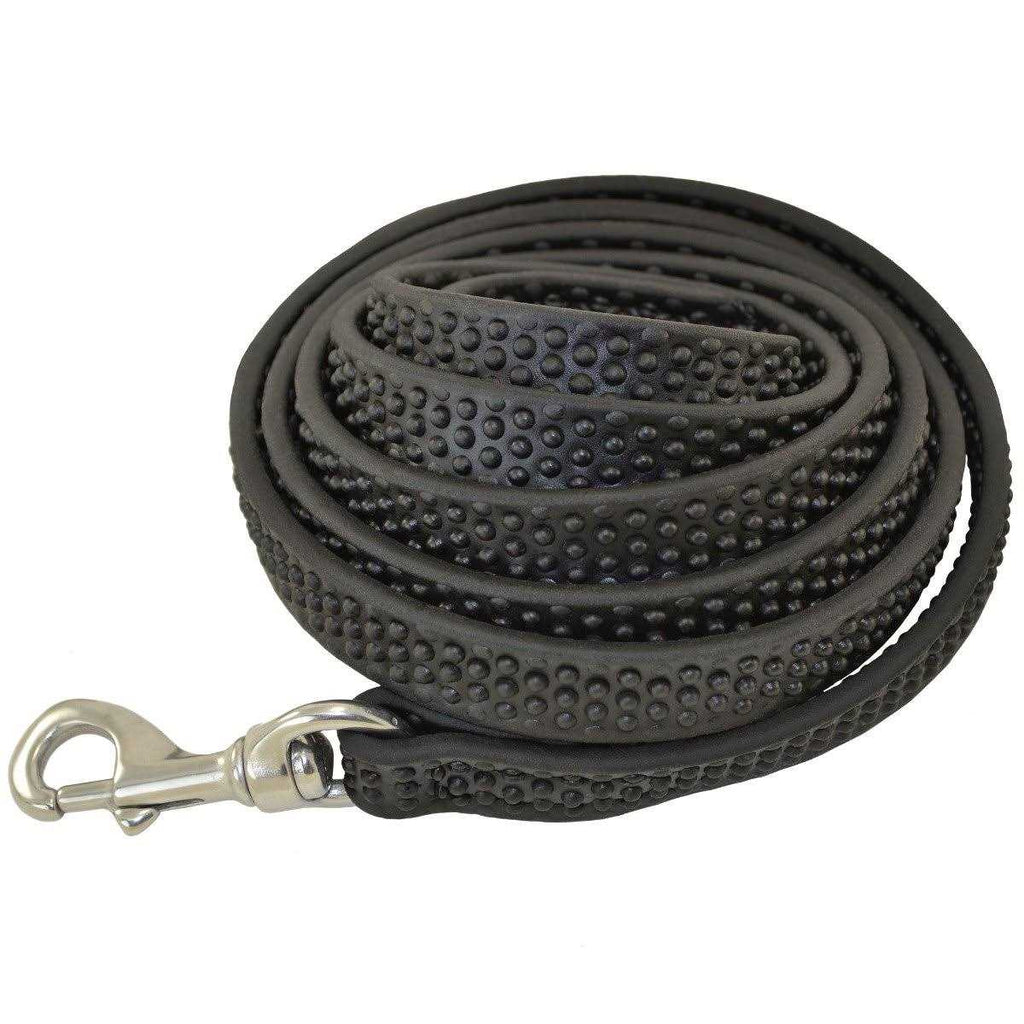 Biothane Leashes B46999