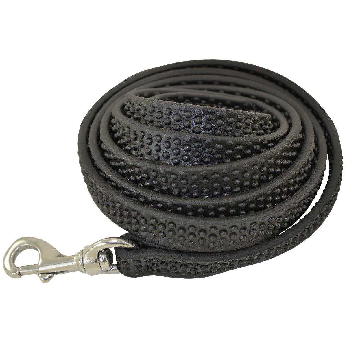 Biothane Leashes B46999