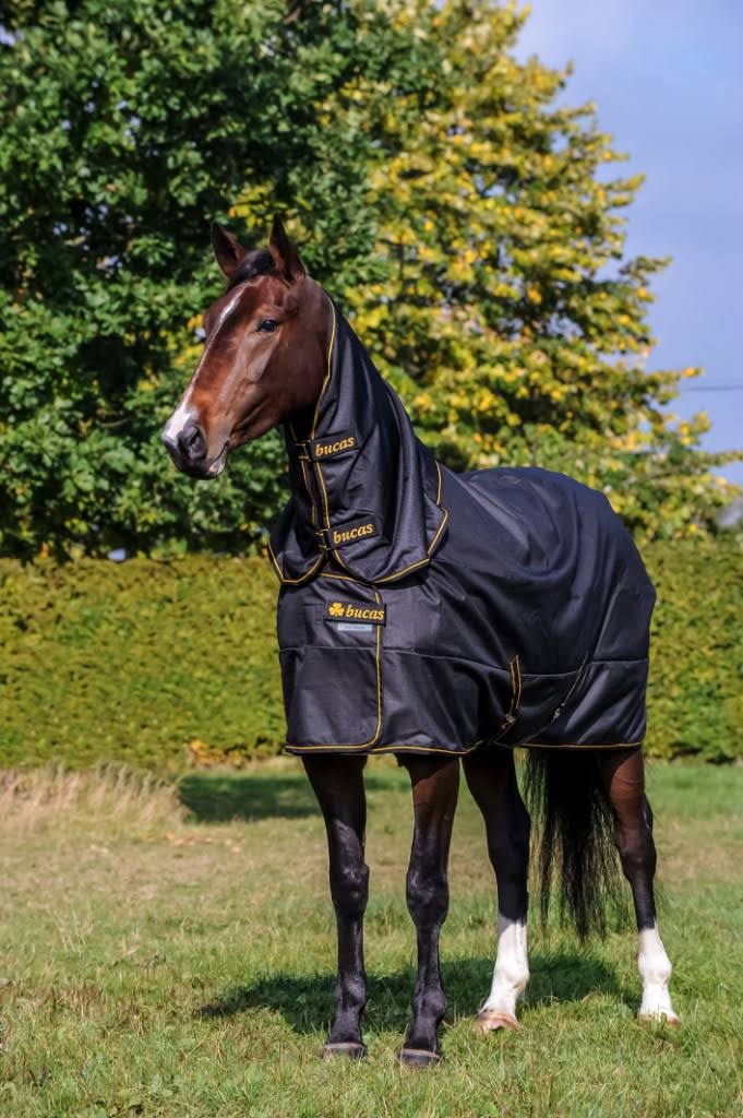 Black Turnout L982375