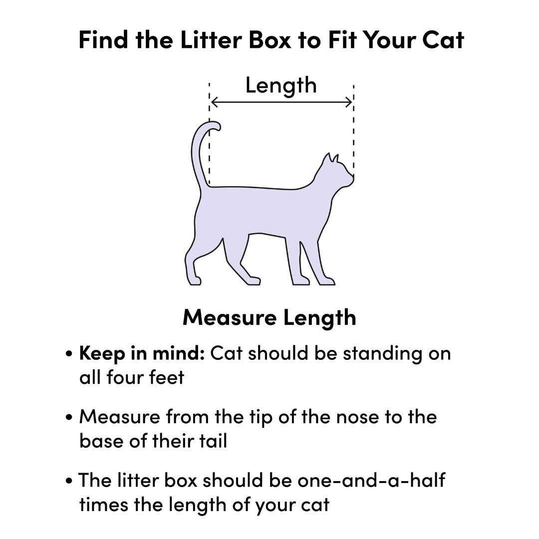 Disposable Cat Litter Box P389