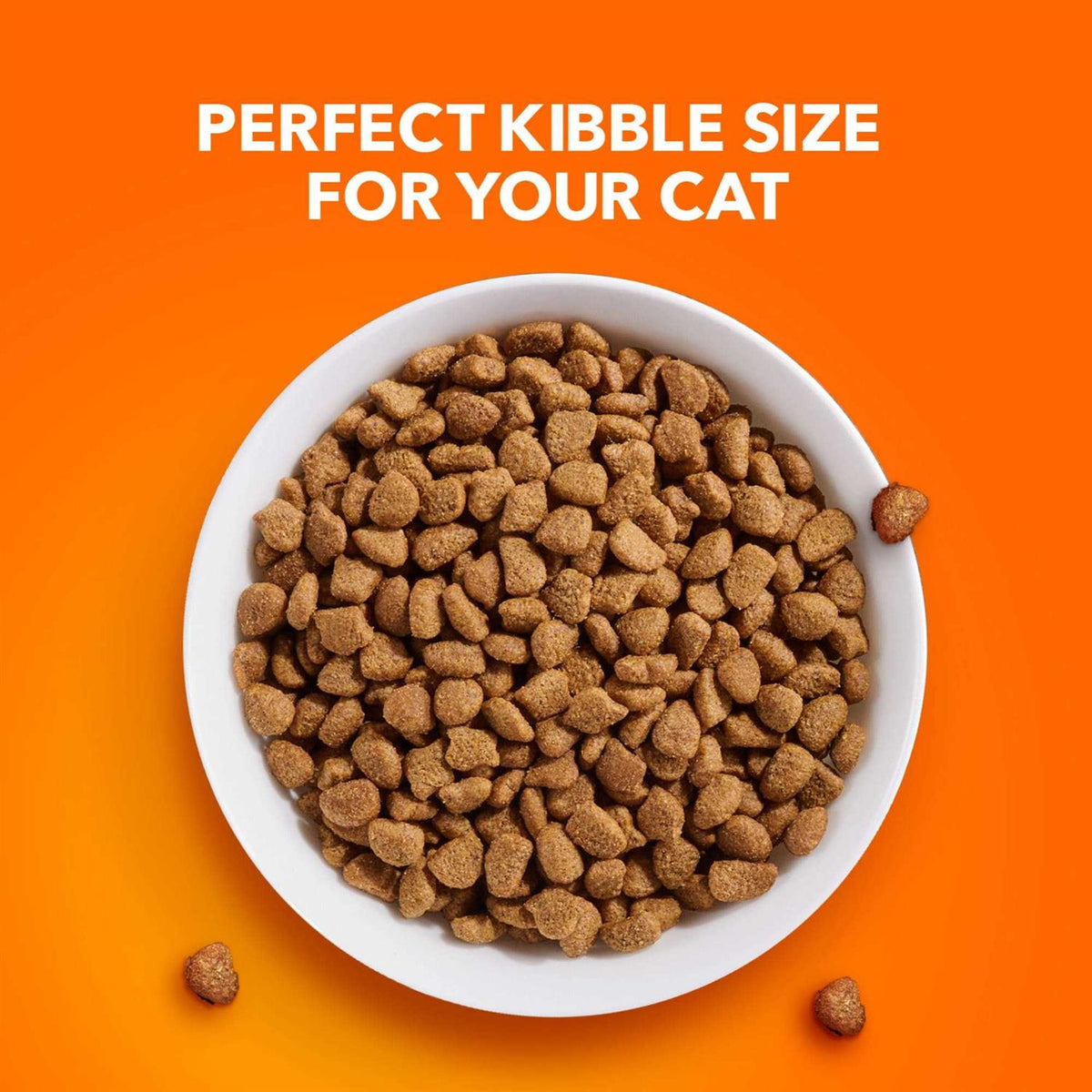Sensitive Digestion & Skin Dry Cat Food D705