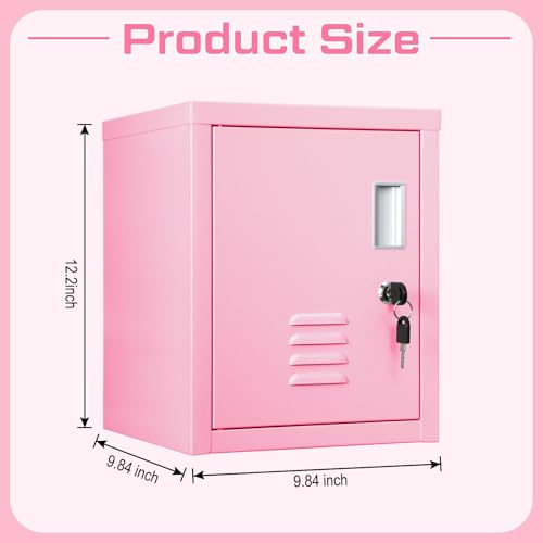 Lockable Steel Storage Cabinet with Shelf T6344
