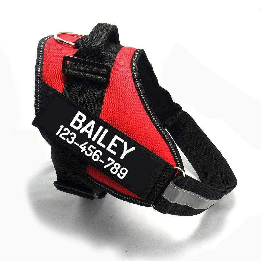 Easy-On No Pull Dog Harness M446
