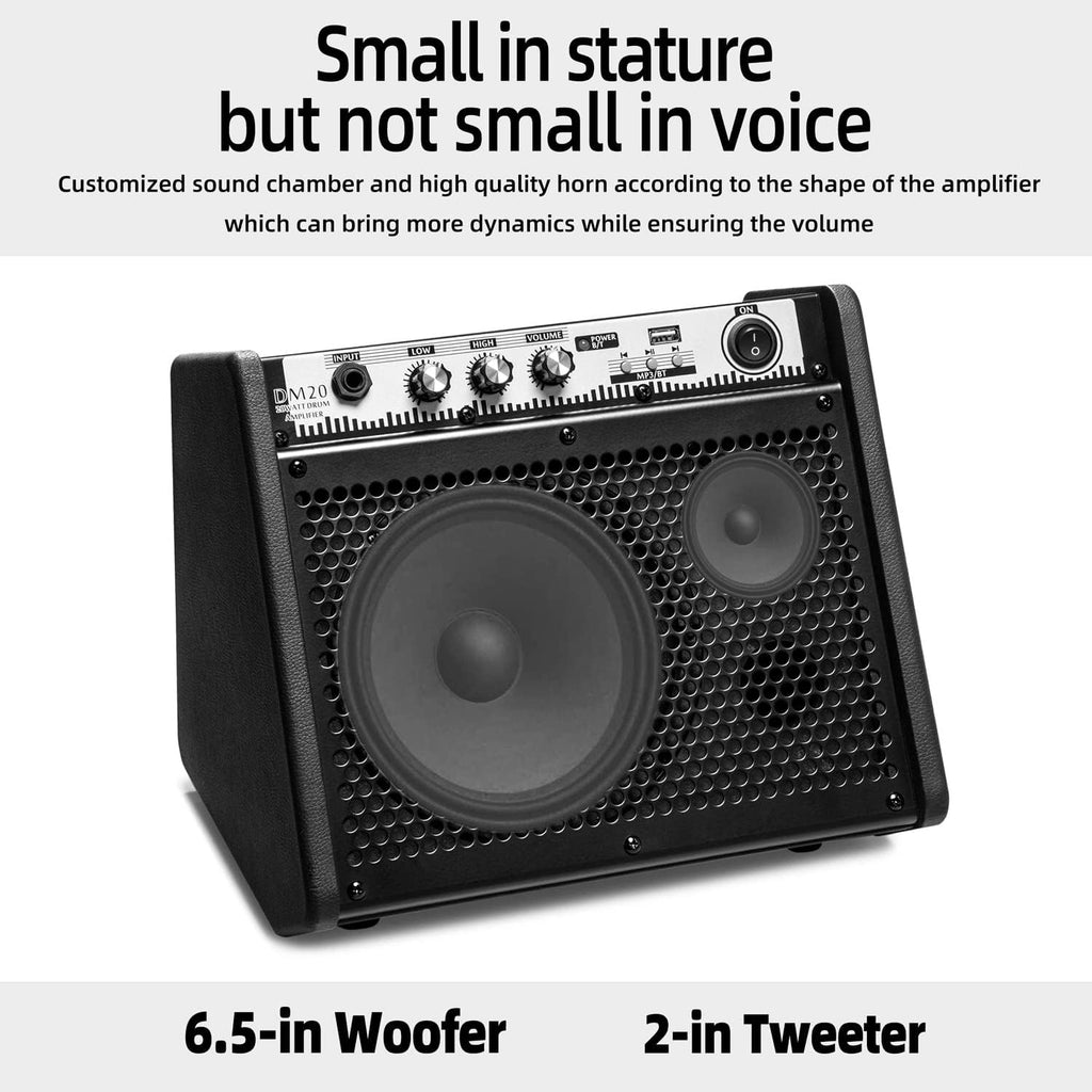 20W Bluetooth Personal Monitor Amplifier Speaker with USB Interface P36605
