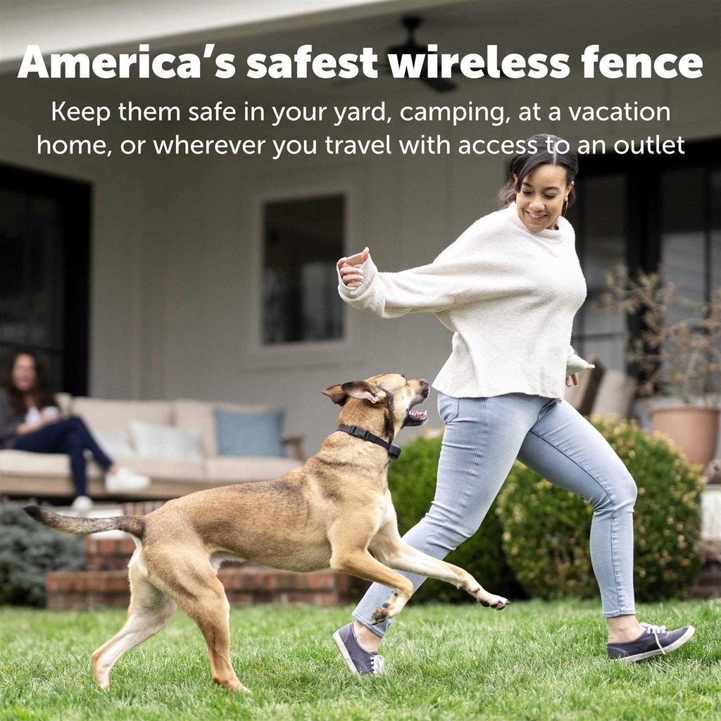 Wireless Fence Transmitter D9170