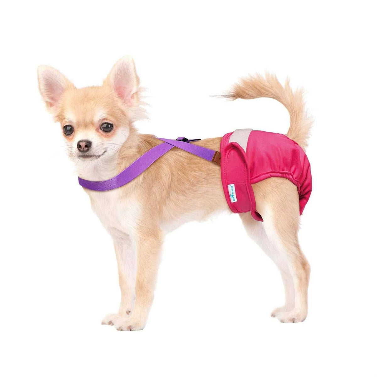 Dog Diaper Suspenders K404473