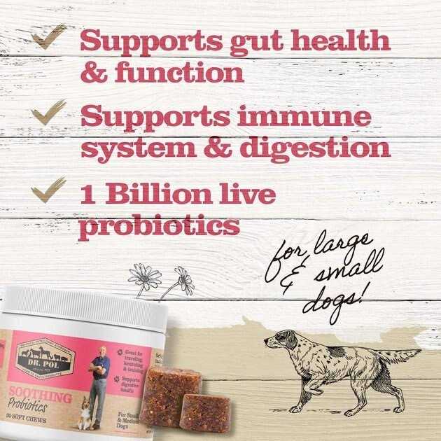 Probiotic Chews for Dogs Small & Medium D5472