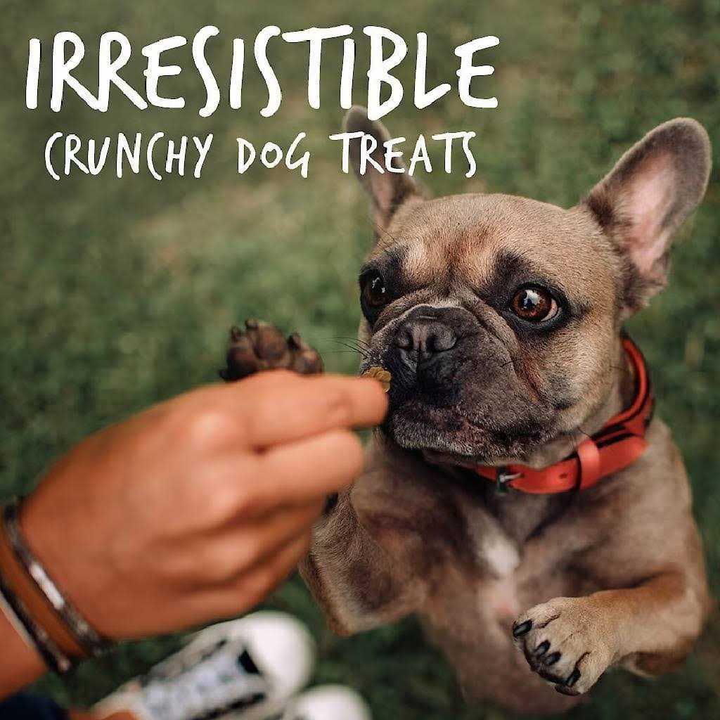 Crispy Bacon Apple Dog Treats C880