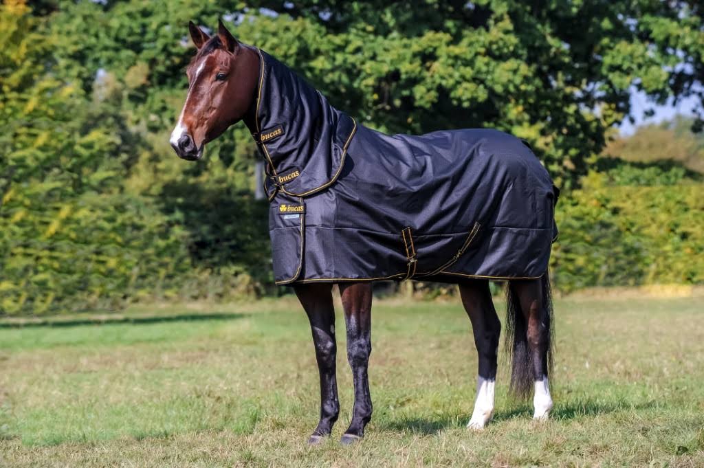 Black Turnout L982375