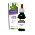 Motherwort Herb Alcohol-free Liquid Extract 4 fl oz Q5704