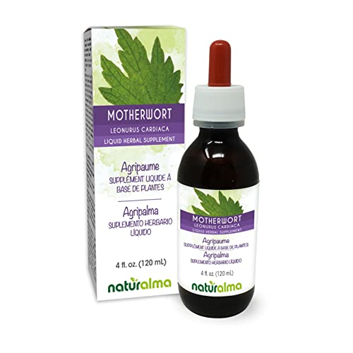 Motherwort Herb Alcohol-free Liquid Extract 4 fl oz Q5704
