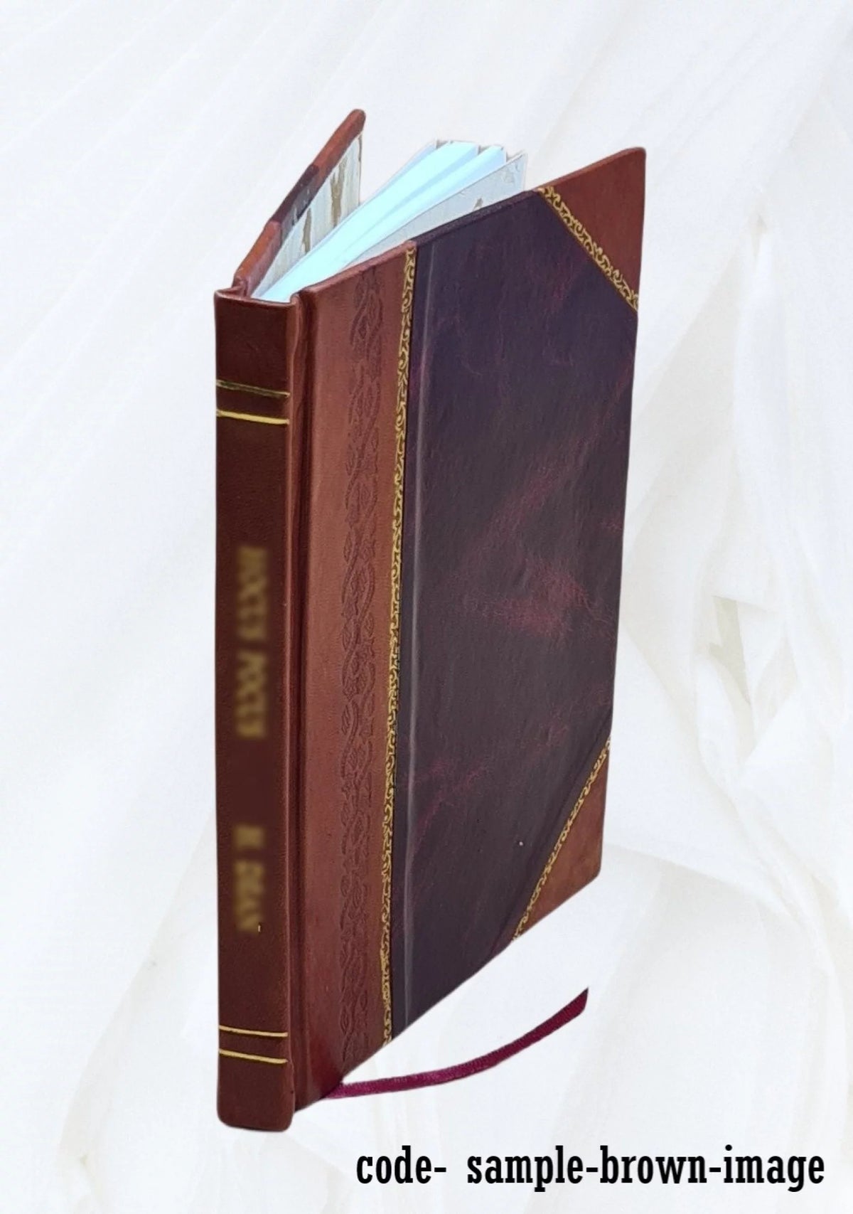 Leather Bound Book X989