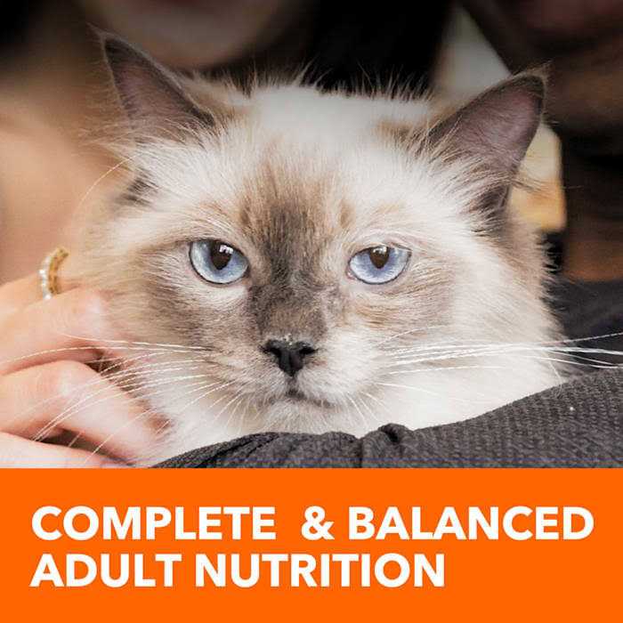 Sensitive Digestion & Skin Dry Cat Food D705