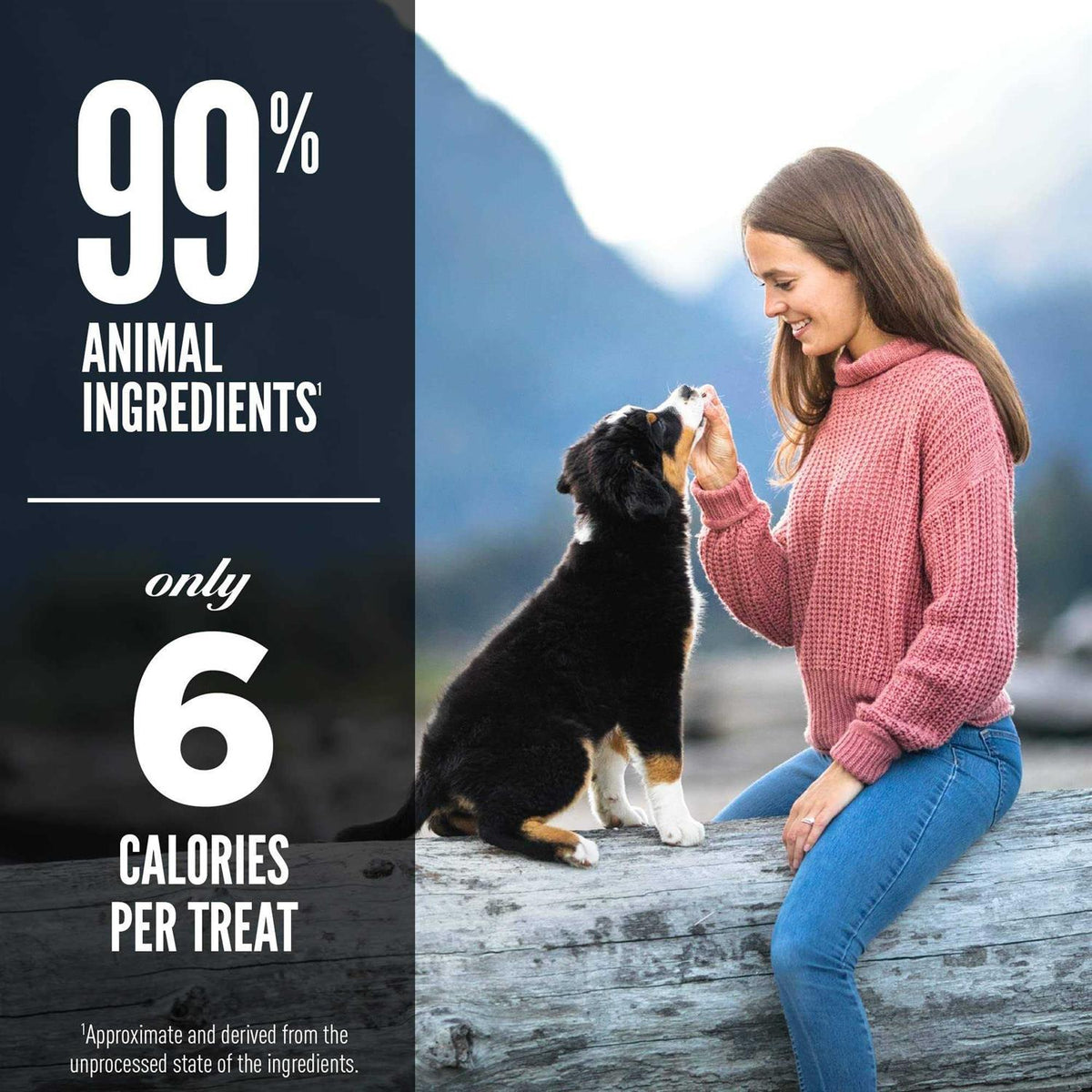 Freeze Dried Dog Treats Q22270
