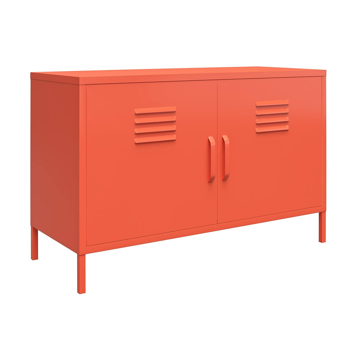 2 Door Metal Accent Cabinet J9842