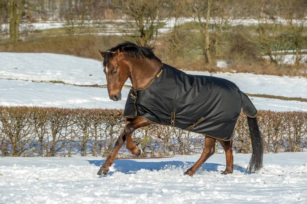 Black Turnout L982375