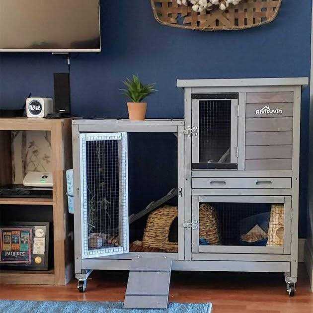 Outdoor & Indoor Bunny Hutch Q617742
